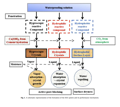 paper 1 graphic